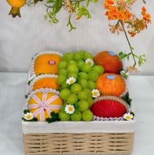 kHAY TRÁI CÂY BIẾU TẶNG