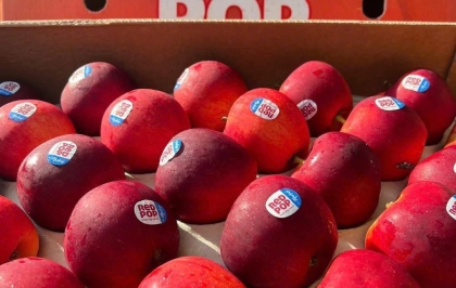 Bài viết khuyến mãi 3