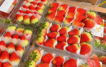 Bài viết khuyến mãi 2